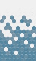 Kinewall Blue Monochrome Hexagon 1000mm x 2500mm Panel