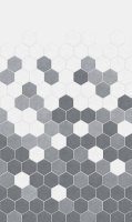 Kinewall Grey Monochrome Hexagon 1000mm x 2500mm Panel