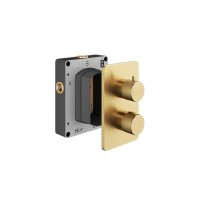 Abacus EZ Box Thermostatic 2 Outlet Shower Valve with Iso Pro Handles - Brushed Brass