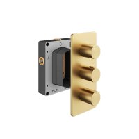 Abacus EZ Box Thermostatic 3 Outlet Shower Valve with Round Handles - Brushed Brass