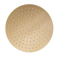 Tavistock Round 250mm Shower Head - Brushed Brass