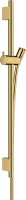 Hansgrohe Unica Shower Rail S Puro 65cm with Isiflex Shower Hose 160cm - Polished Gold-Optic