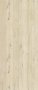 Zest Wall Panel 2600 x 375 x 8mm (Pack Of 3) - Scandi Oak