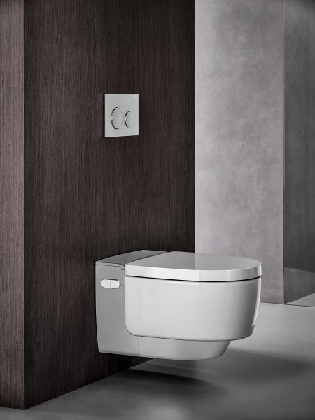 Geberit Sigma 21 White Glass Dual Flush Plate | Bathroom Supplies Online