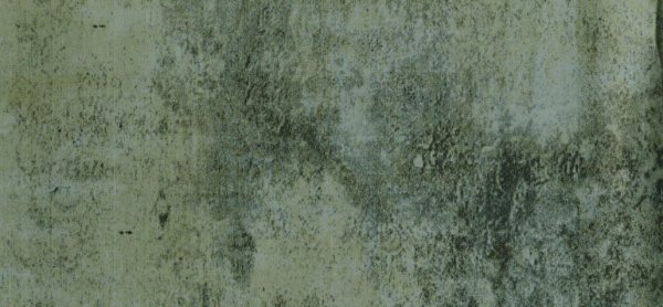 Zest Wall Panel 2600 x 375 x 8mm (Pack Of 3) - Fired Earth