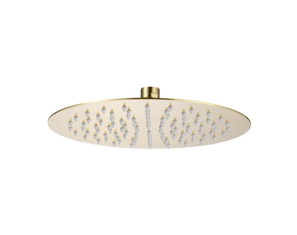 The White Space ABS 250mm Slim Shower Head - Brushed Brass