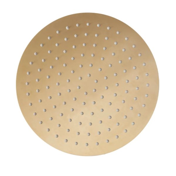 Tavistock Round 250mm Shower Head - Brushed Brass