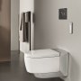 Geberit Sigma 21 Dual Flush Plate - Mustang Slate & Chrome