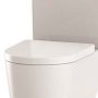 The White Space Lab Soft Close Toilet Seat