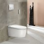 Geberit Sigma 20 Dual Flush Plate - White & Matt White