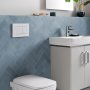 Geberit Sigma 30 Dual Flush Plate - White & Matt White