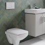 Geberit Sigma 30 Dual Flush Plate - White & Matt White