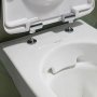 Geberit Selnova Soft Close Quick Release Toilet Seat and Cover