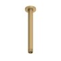 Abacus Emotion 250mm Round Fixed Ceiling Arm - Brushed Brass