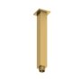 Abacus Emotion Square 250mm Fixed Ceiling Arm - Brushed Brass