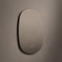 Origins Living Claris 700 x 780mm Curve Oblong Mirror