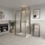 Coram Optima 6 1000mm Pivot Door Shower Enclosure - Brushed Gold